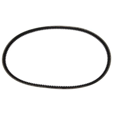 T80109107 Belt